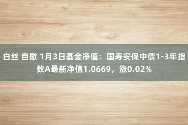 白丝 自慰 1月3日基金净值：国寿安保中债1-3年指数A最新净值1.0669，涨0.02%