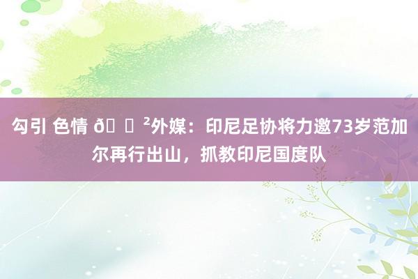 勾引 色情 😲外媒：印尼足协将力邀73岁范加尔再行出山，抓教印尼国度队