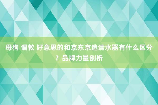 母狗 调教 好意思的和京东京造清水器有什么区分？品牌力量剖析