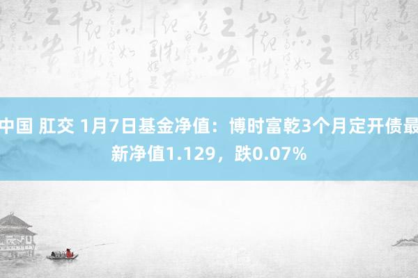 中国 肛交 1月7日基金净值：博时富乾3个月定开债最新净值1.129，跌0.07%