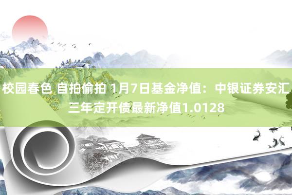 校园春色 自拍偷拍 1月7日基金净值：中银证券安汇三年定开债最新净值1.0128