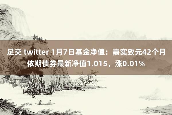 足交 twitter 1月7日基金净值：嘉实致元42个月依期债券最新净值1.015，涨0.01%