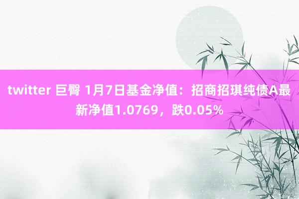 twitter 巨臀 1月7日基金净值：招商招琪纯债A最新净值1.0769，跌0.05%