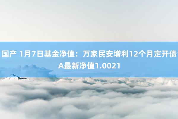 国产 1月7日基金净值：万家民安增利12个月定开债A最新净值1.0021