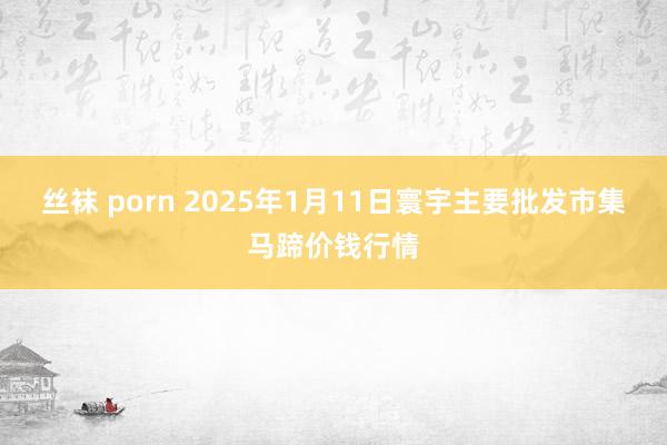 丝袜 porn 2025年1月11日寰宇主要批发市集马蹄价钱行情