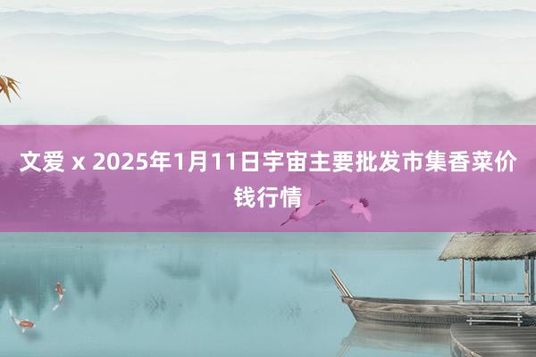 文爱 x 2025年1月11日宇宙主要批发市集香菜价钱行情