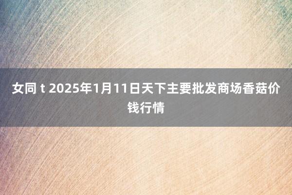 女同 t 2025年1月11日天下主要批发商场香菇价钱行情