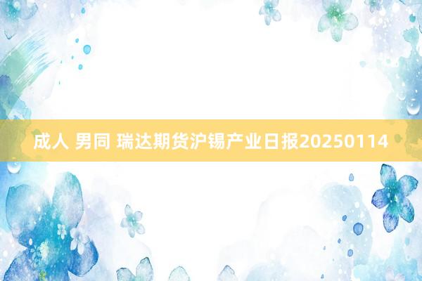 成人 男同 瑞达期货沪锡产业日报20250114