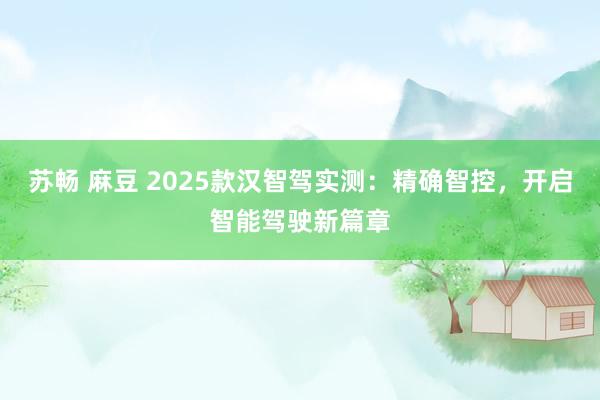 苏畅 麻豆 2025款汉智驾实测：精确智控，开启智能驾驶新篇章