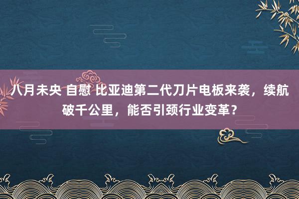 八月未央 自慰 比亚迪第二代刀片电板来袭，续航破千公里，能否引颈行业变革？