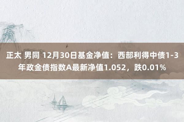 正太 男同 12月30日基金净值：西部利得中债1-3年政金债指数A最新净值1.052，跌0.01%