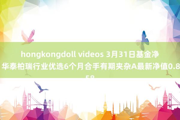 hongkongdoll videos 3月31日基金净值：华泰柏瑞行业优选6个月合手有期夹杂A最新净值0.8158