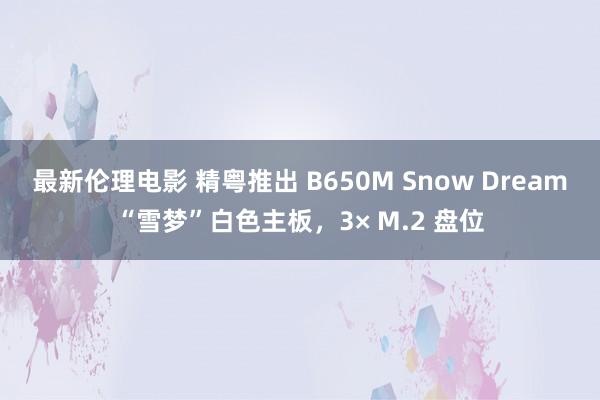 最新伦理电影 精粤推出 B650M Snow Dream“雪梦”白色主板，3× M.2 盘位
