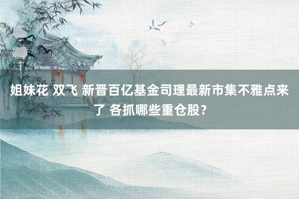 姐妹花 双飞 新晋百亿基金司理最新市集不雅点来了 各抓哪些重仓股？
